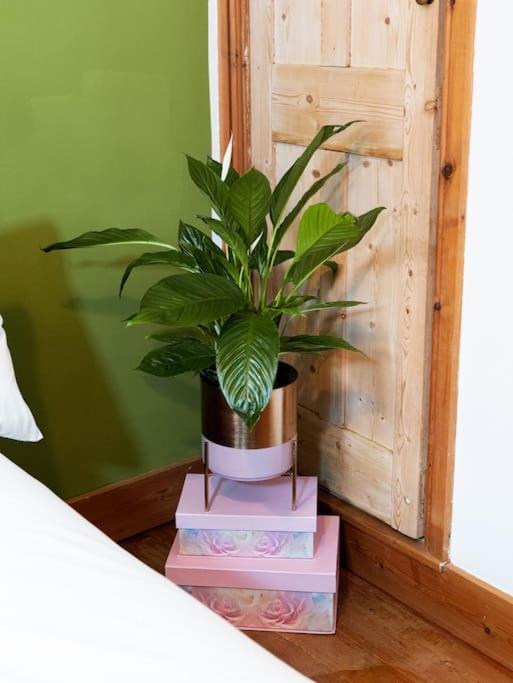 Cosy Cottage In Central Reading Free Parking & Fast Wifi Extérieur photo